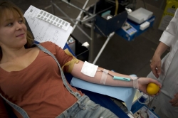  a ltima oportunidade para doar sangue em 2012