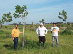 Oneide (E), Ivan (D) e um dos produtores de nozes do municpio