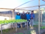 Escola Vicente Sols produz as hortalias consumidas pelos alunos