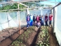 Agricultura e Educao fomentam a produo de hortalias em escolas e associaes comunitrias
