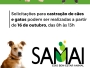 SAMAI pretende atingir mil castraes em um ano com o Eixo Bem-Estar Animal; Cadastros recomeam na segunda